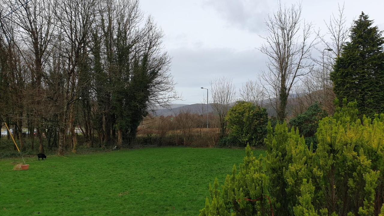 Trem Hyfryd B&B Dolgellau Zewnętrze zdjęcie