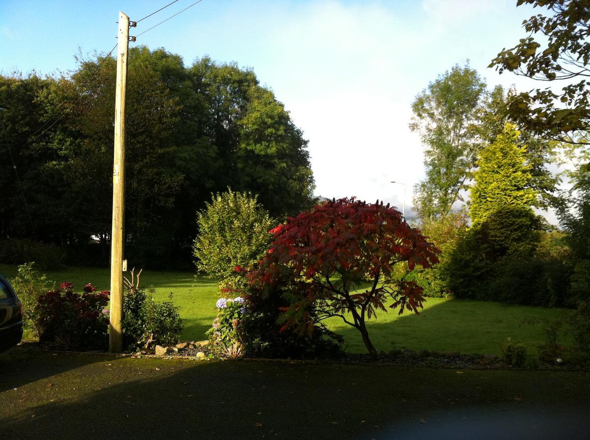 Trem Hyfryd B&B Dolgellau Zewnętrze zdjęcie